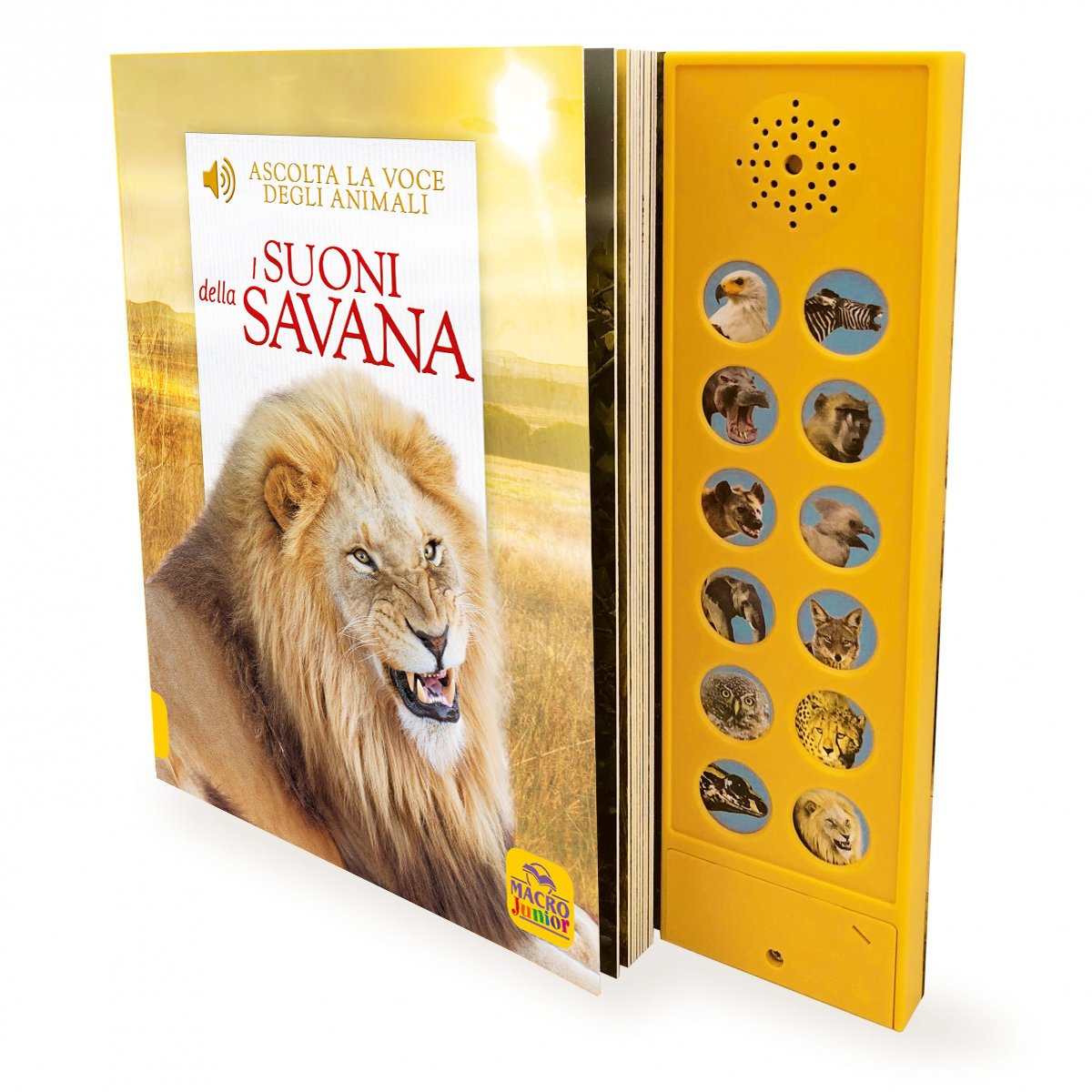 suoni-della-savana